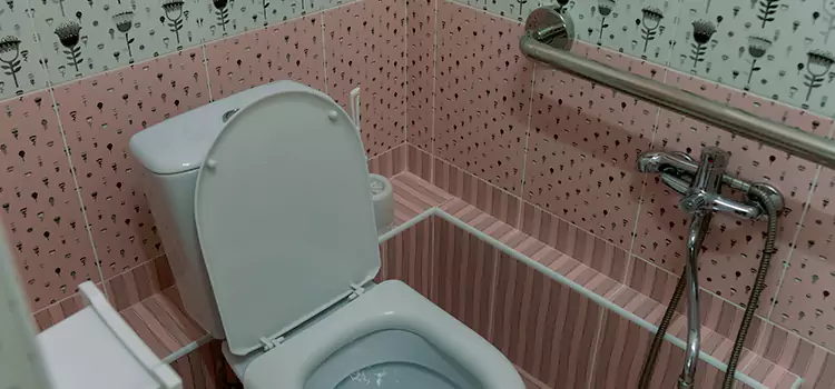 Meeting Diverse Needs With Accessible Restroom Solutions in East Hill-Meridian, WA